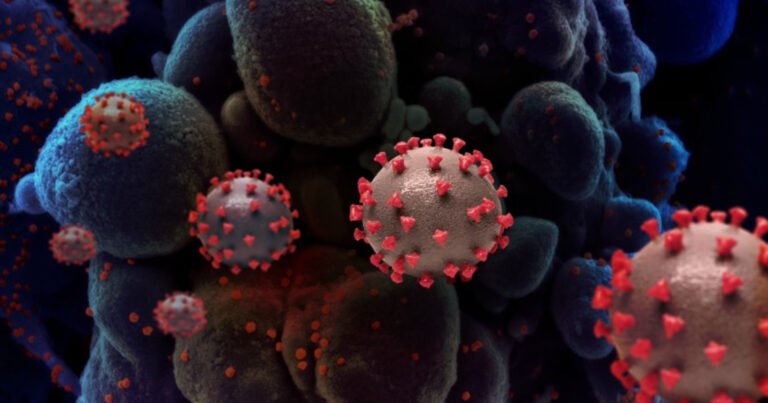 İkiqat mutasiyalı koronavirus dəhşəti – “Görünür, biz hələ pandemiyanın ortasındayıq”
