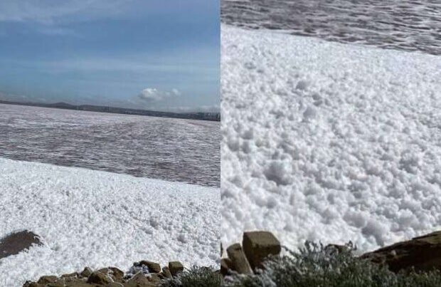 Masazırdakı İNANILMAZ mənzərə insanların marağına səbəb oldu