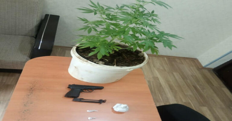 Polis evdən tapança və narkotik bitki yetişdirilən dibçək tapdı – FOTO