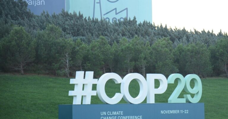 COP29 çərçivəsində Maliyyə Günü