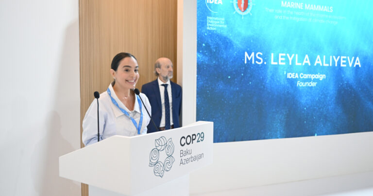 Leyla Əliyeva COP29-da panel müzakirələrində iştirak edib